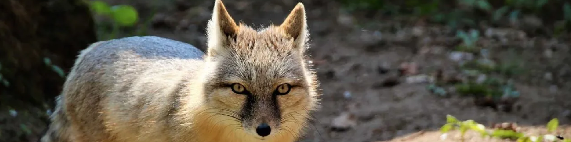 Natur- und Tierpark Brüggen