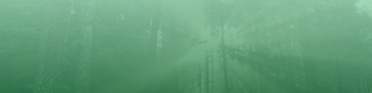 Tannen-Müller GmbH cover