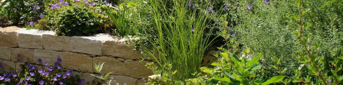 Florian Vierthaler Garten- und Landschaftsbau cover